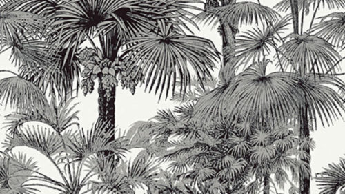PALM BOTANICAL T10102